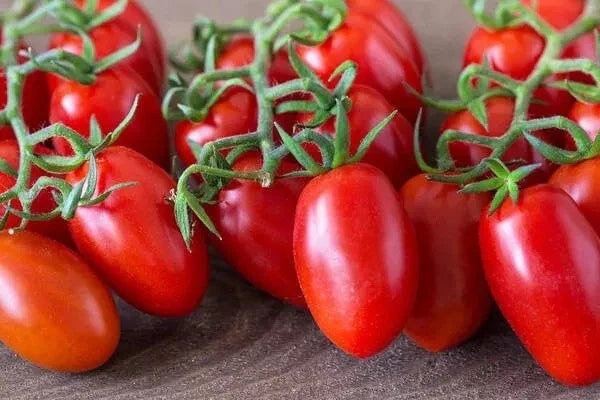 Roma Tomato Seeds - 30+ Pack - Heirloom Organic NON-GMO - Solanum lycopersicum