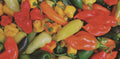 Hot Pepper Seeds Mix - 100 Seeds - Colorful Varieties - Capsicum Annuum - Includes Habanero, Jalapeno, Cayenne, Serrano, Anaheim