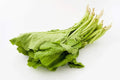 Florida Broadleaf Mustard Greens Seeds - 250 Pack - Heirloom Variety - Brassica juncea - Made in USA, Ships from Iowa
