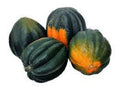 Premium Heirloom Seeds - King Bush Acorn Winter Squash - Prolific Variety - Cucurbita pepo