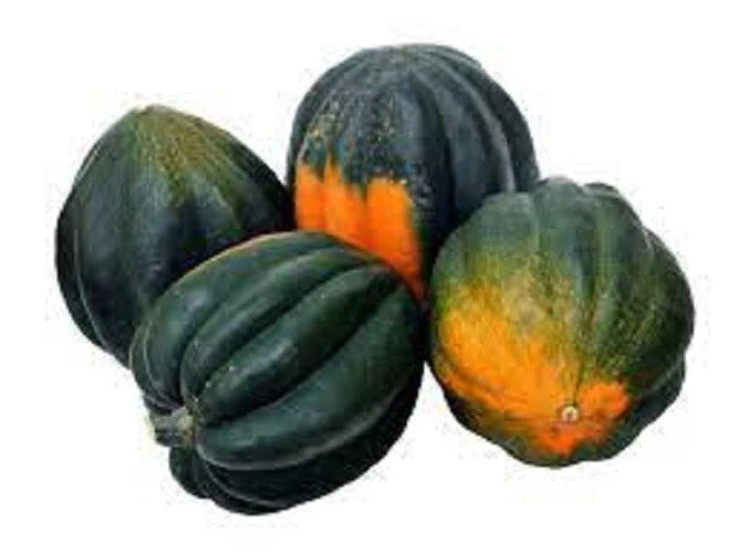 Premium Heirloom Seeds - King Bush Acorn Winter Squash - Prolific Variety - Cucurbita pepo