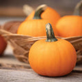 Wee-B-Little Pumpkin Seeds for Planting, 30 Seeds, Miniature Variety, Cucurbita pepo