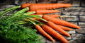 Tendersweet Carrot Seeds - 1000+ Non-GMO Heirloom Organic Seeds - Daucus carota