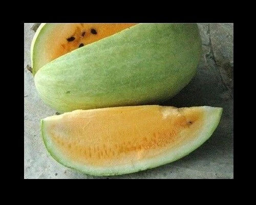 Heirloom Watermelon Seeds - Missouri Yellow Flesh - Rare Variety - Good Shelf Life - 7 Seeds