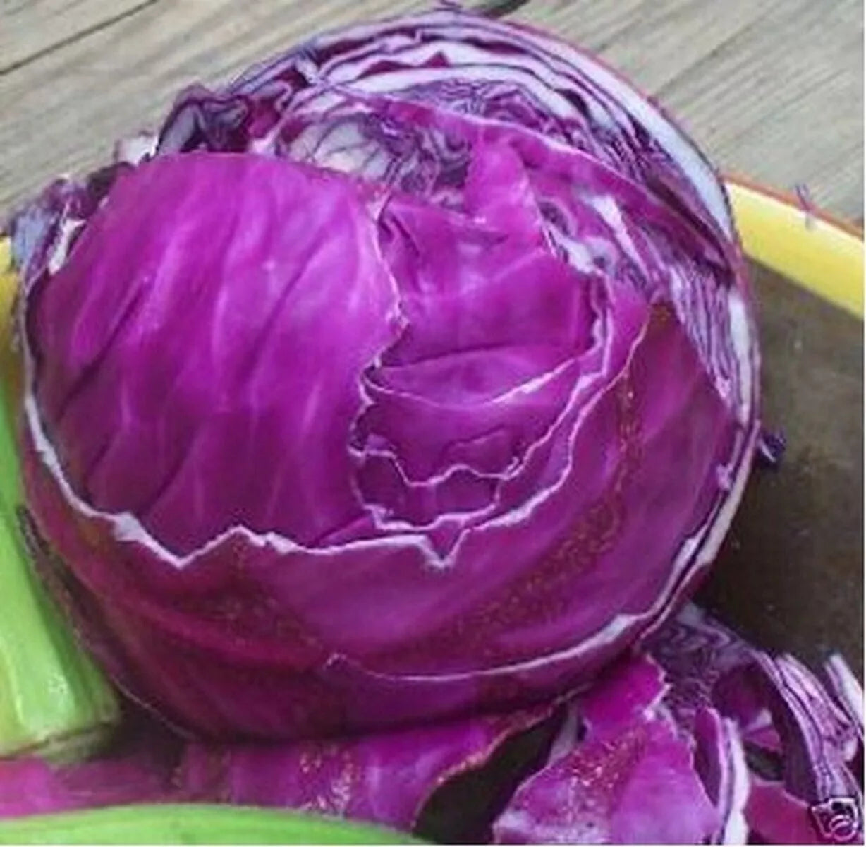 Red Acre Cabbage Seeds - 1000+ Heirloom Non-GMO - Brassica oleracea