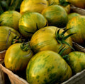 Green Zebra Tomato Seeds - NON GMO - Heirloom Variety - Lycopersicon esculentum - Free Shipping