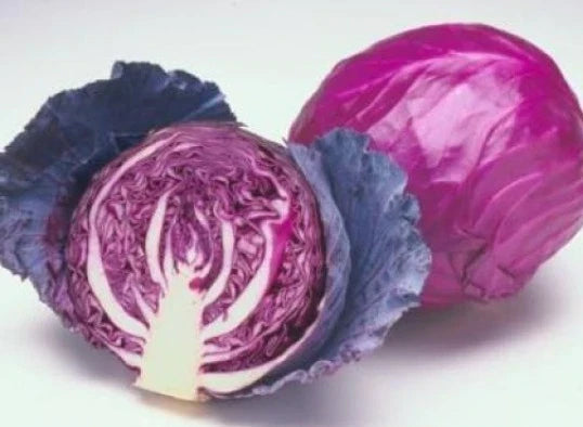 Fresh Red Acre Cabbage Seeds - 25 Pack - Brassica oleracea - Non-GMO, Heirloom, Free USA Shipping