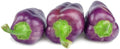Purple Pepper Seeds - 100+ Seeds - Versatile Edible Pepper for Cooking and Seasoning - Capsicum annuum