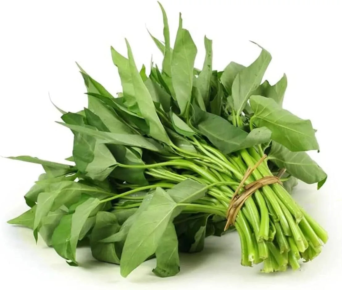 Ong Choy Seeds - Hat Rau Muong - Vietnamese Kang Kong - Ipomoea Aquatica