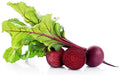 Red Beet Seeds - 250 Count - Non-GMO, Heirloom, Beta vulgaris - USA Made, Ships from Iowa