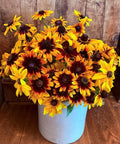 Gloriosa Daisy Seeds - 1000 Heirloom Non-GMO Rudbeckia Hirta - Native Perennial Flower Seeds