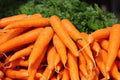 Premium Organic Heirloom Carrot Seeds - Danvers 126 Variety - Sweet Flavor - Non-GMO, Since 1870