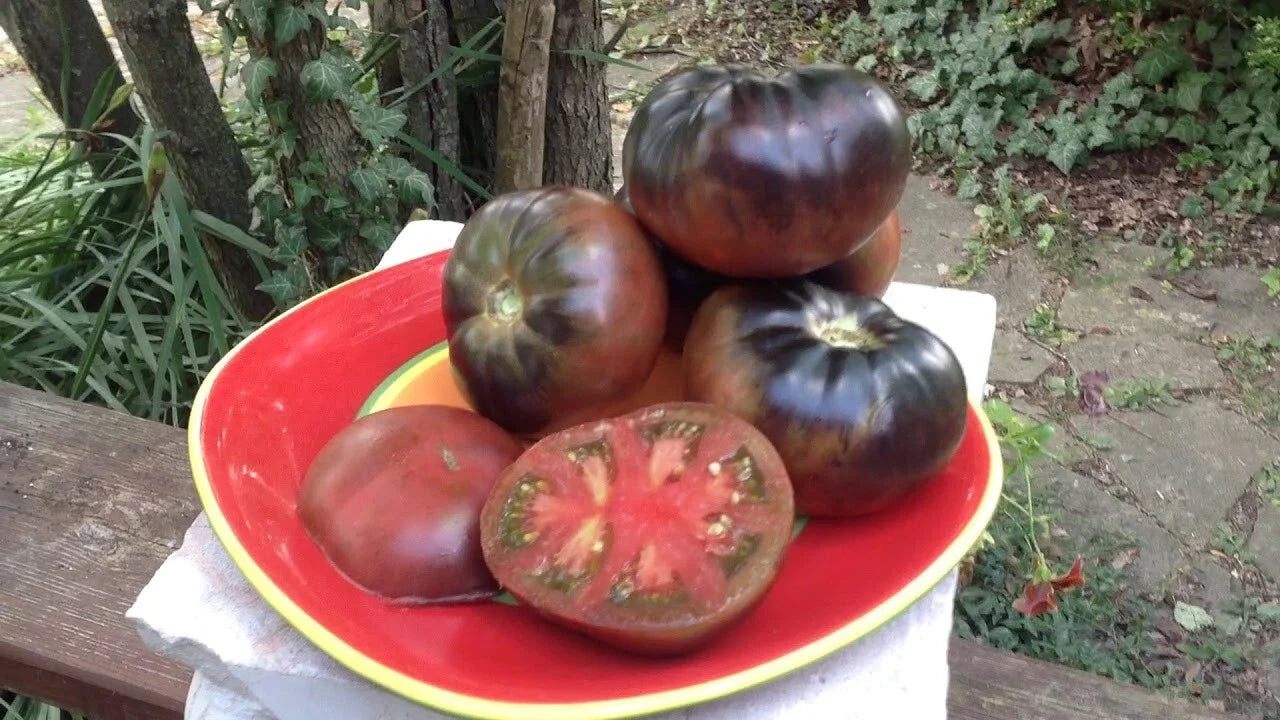 Black Beauty Tomato Seeds - Organic Heirloom - 120+ Seeds - Solanum lycopersicum