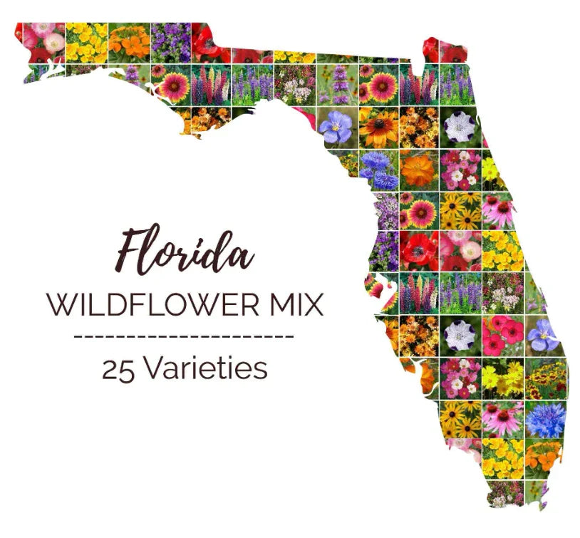 Wildflower Seed Mix - 1000 Seeds - Florida Perennials & Annuals - Non-GMO - 25 Flower Types