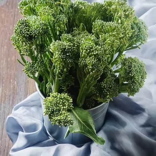 2000 Non-GMO Broccoli Seeds Waltham 29 Heirloom | Organic Gardening | USA Seller