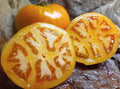 Golden Jubilee Tomato Seeds - 30+ Heirloom Organic Non-GMO Seeds - Solanum lycopersicum