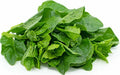Green Malabar Spinach Seeds - 50+ Organic Seeds, Mong Toi Mu Er Cai, Ceylon Spinach, Basella rubra, USA