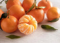 Clementine Orange Seeds - 5+ Pack for Garden Planting - Citrus reticulata - Fast Shipping USA
