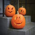 Premium Jack O' Lantern Pumpkin Seeds - Fresh Heirloom Variety for Carving - Cucurbita pepo