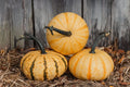 Tiger Stripe Pumpkin Seeds - 20 Organic Seeds - Cucurbita pepo - USA Grown, Free Shipping