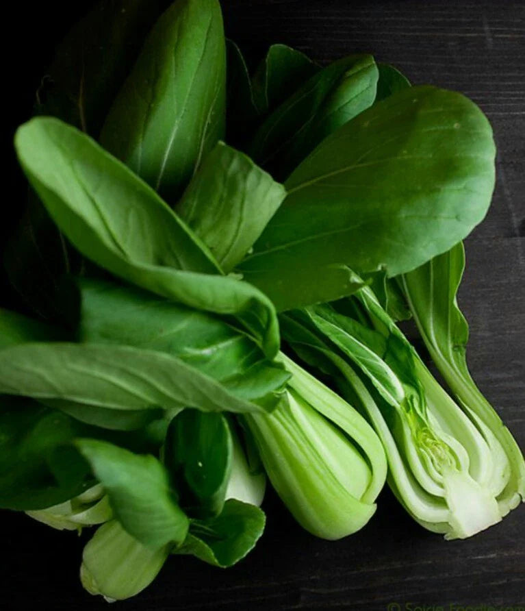 Pak Choi White Stem Cabbage Seeds 400 Count - Non-GMO, Open Pollinated, Organic - Brassica rapa subsp. chinensis