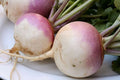 Turnip Vegetable Seeds - Non-GMO 20 Pack - Brassica rapa - Free USA Shipping