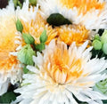 Chrysanthemum Seeds - 200+ Orange White Mum Flower Seeds - Annual Flower Seeds (Chrysanthemum morifolium)