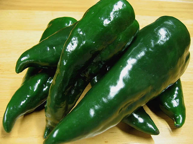 Poblano Pepper Seeds - Fresh Seed for Planting - Capsicum annuum