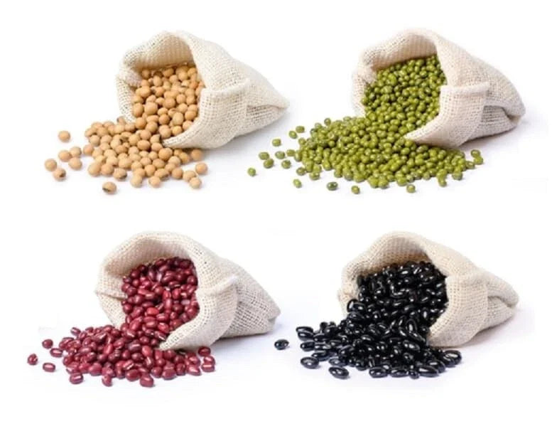 Bean Bundle 400 Seeds - Soybeans, Mung Beans, Adzuki Beans, Black Soybean - High Germination Rate, Heirloom Varieties