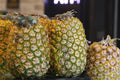 Champaka Pineapple Seeds - 15+ Seeds for Garden Planting - Tropical Fruit - Cananga odorata