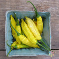 Lemon Drop Hot Pepper Seeds - 25+ Pack for Garden Planting - Capsicum Annuum - USA Grown, Free Shipping