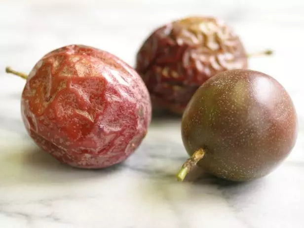 Purple Passionfruit Live Plant 5" Starter Pesticide-Free Passiflora edulis