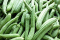 Sponge Gourd Squash Seeds - 25+ Pack for Garden Planting - Lagenaria siceraria - USA