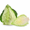 Pointed Cabbage Seeds 500+ Count for Garden Planting - Brassica oleracea - USA Grown - Heirloom Quality