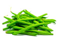 Green Bean Seeds - 50+ Provider Bush Bean Seeds - Non-GMO, USA Grown, Ideal for Planting
