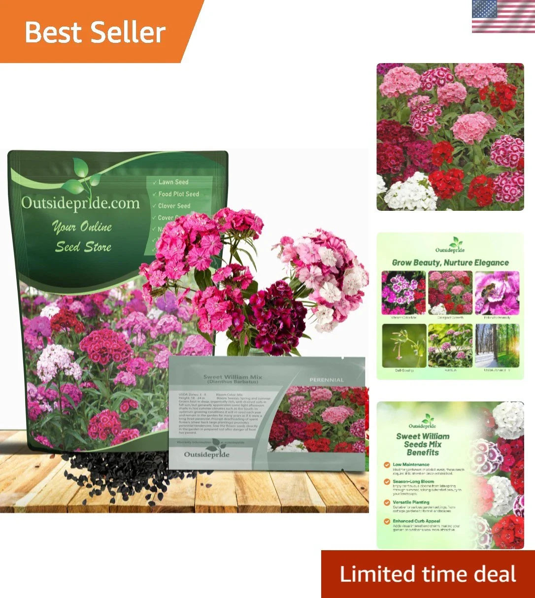 Perennial Sweet William Seeds 1/4 Lb - Vibrant Blooms for Pollinator Gardens (Dianthus barbatus)