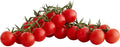 Sugar Bomb Cherry Tomato Seeds - Heirloom Organic Non-GMO - 100+ Seeds - Perfect for Home Gardening - Solanum Lycopersicum