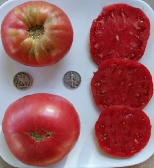 Heirloom Beefsteak Rose Seeds - Huge Pink Variety - 25 Fresh Seeds - Delicious Flavor - 2024 Harvest