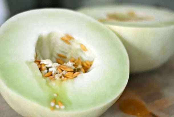Green Flesh Honeydew Melon Seeds - 25+ Seeds (Cucumis melo) Sweet Juicy Fruit for Home Garden USA