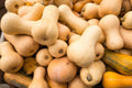 Butternut Squash Seeds - 10 Seeds - Winter Variety - Cucurbita moschata