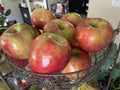 Honeycrisp Apple Seeds - Organic Non-GMO Fruit Tree Seeds - Homegrown Edible Variety - Malus domestica