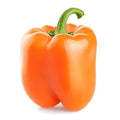 Organic Orange Sun Sweet Bell Pepper Seeds - 30+ Premium Seeds for Fresh Garden - Capsicum annuum