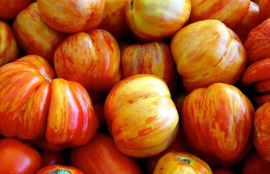 Old German Tomato Seeds - Fresh Heirloom Seeds for Planting - Solanum lycopersicum
