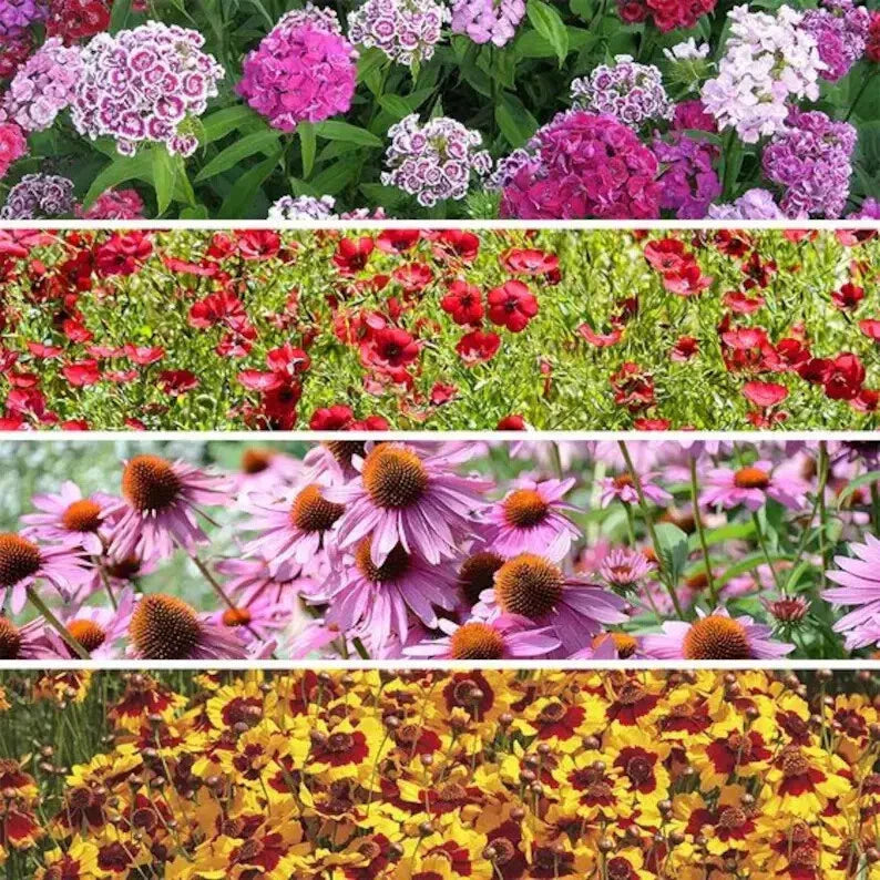 Wildflower Seed Mix 200 Variety Organic USA Seeds - Shade Tolerant Native Plants