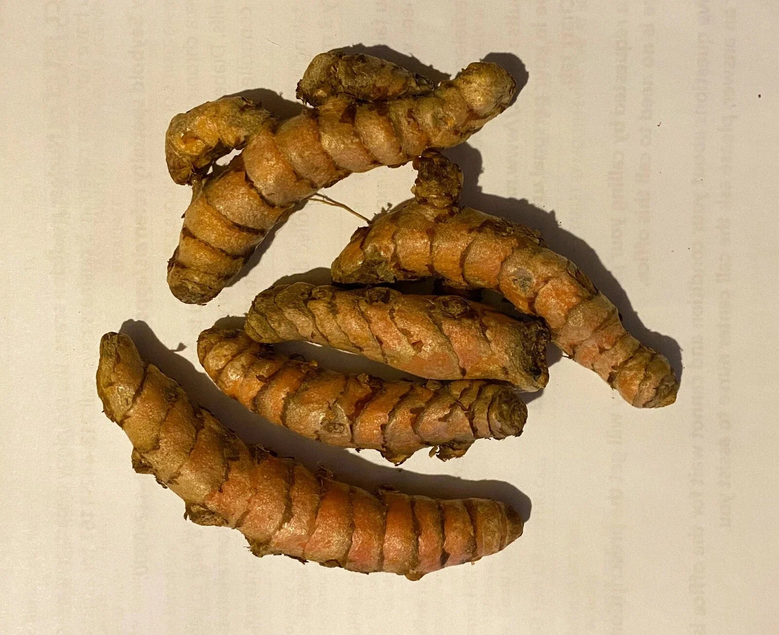 Fresh Turmeric Root 8 Pieces Orange Curcuma Longa for Arthritis Pain and Skin Sores