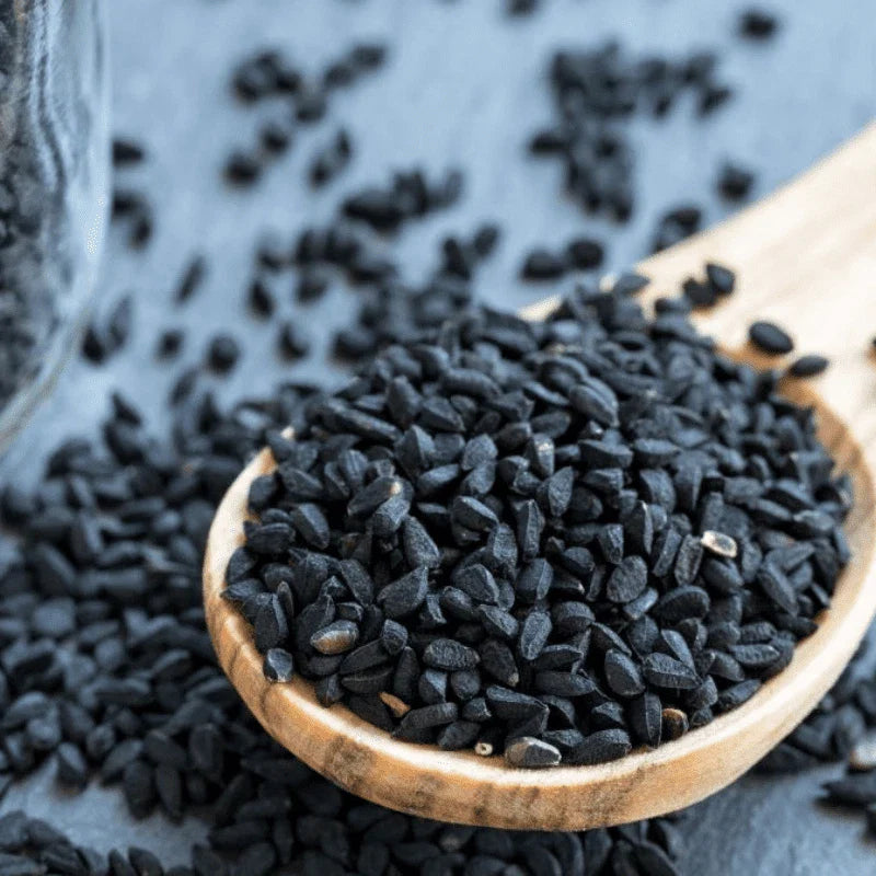 Black Cumin Seeds | Heirloom Non-GMO | Nigella Sativa | Culinary Spice | Organic Gardening