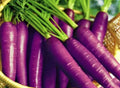 Cosmic Purple Carrot Seeds - 200+ Non-GMO Seeds - Heirloom Variety - Daucus carota