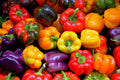 Rainbow Sweet Bell Pepper Seeds - 50 Count - Colorful Variety Mix - Capsicum annuum