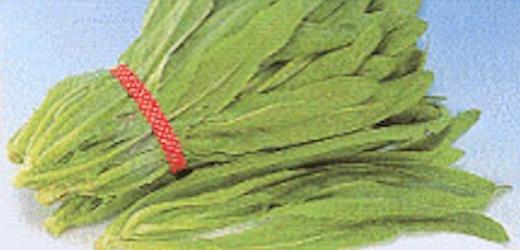 Sword Leaf Lettuce Seeds - 2000 Non-GMO Pointed Leaf "A Choy" - Premium Vegetable Seeds for Home Gardening