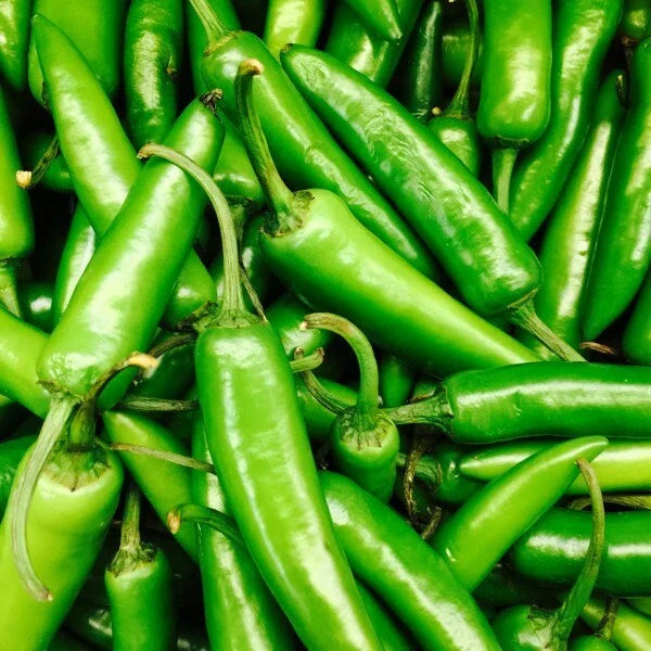 Serrano Pepper Seeds - Heirloom Non-GMO Variety - Capsicum annuum - Seed Store
